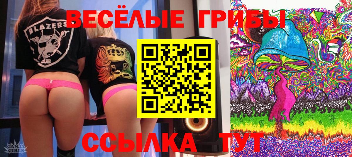 Костомукша  Псилоцибиновые грибы Psilocybine cubensis  Вход с VPN 