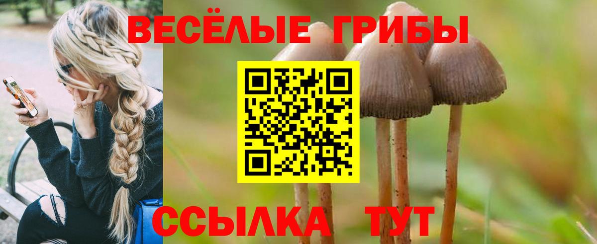 Псилоцибиновые грибы мицелий Костомукша